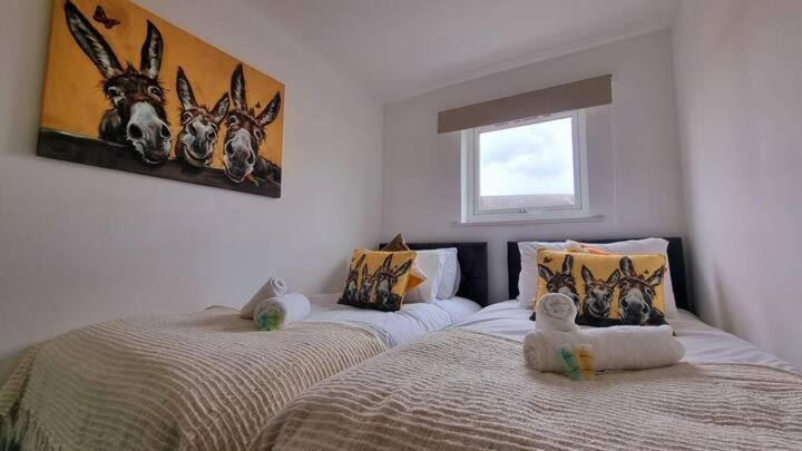 No 62 Fivedom - Charming & Cosy Lejlighed Southampton Eksteriør billede